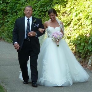 Breathtaking Lazaro Wedding Dress and Vail